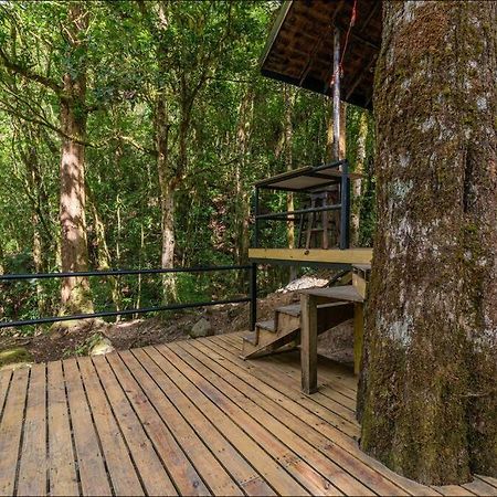 Unicorn Lodge: Direct Riverfront : Unique Experience San Gerardo de Dota Exterior foto