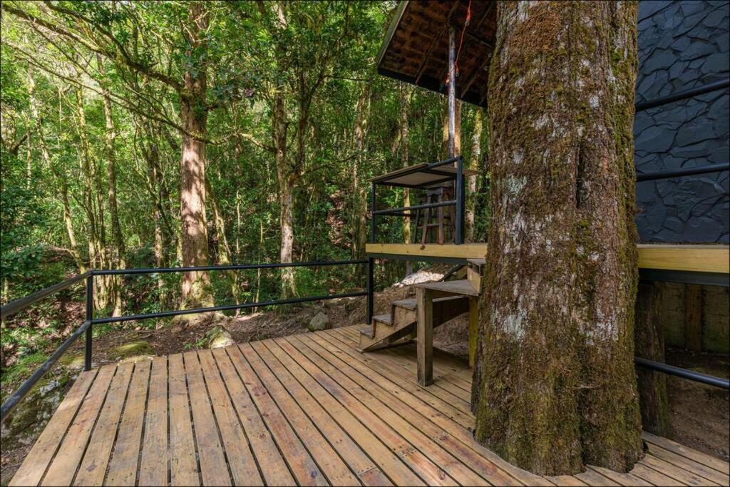 Unicorn Lodge: Direct Riverfront : Unique Experience San Gerardo de Dota Exterior foto