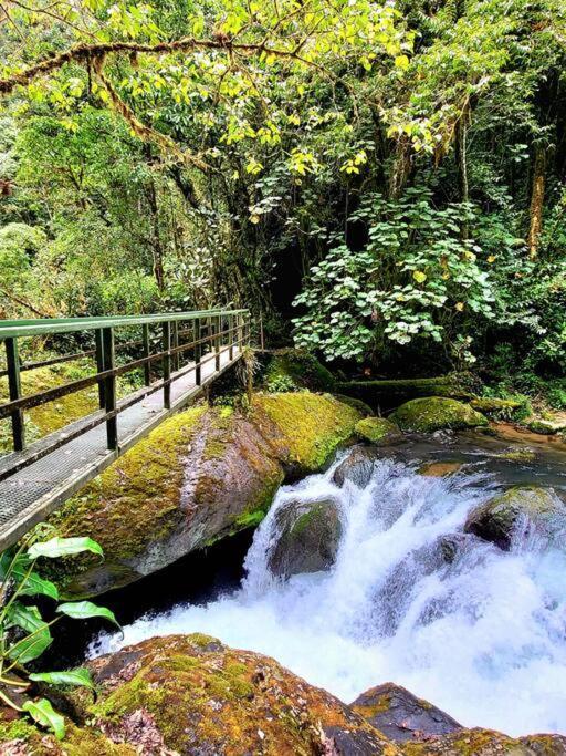 Unicorn Lodge: Direct Riverfront : Unique Experience San Gerardo de Dota Exterior foto