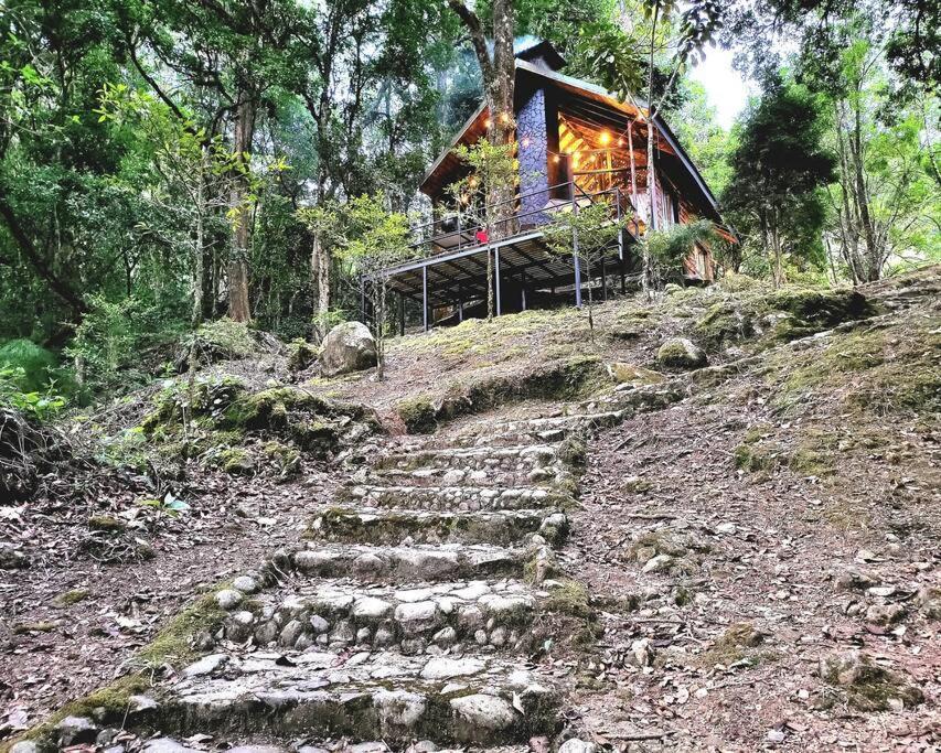 Unicorn Lodge: Direct Riverfront : Unique Experience San Gerardo de Dota Exterior foto