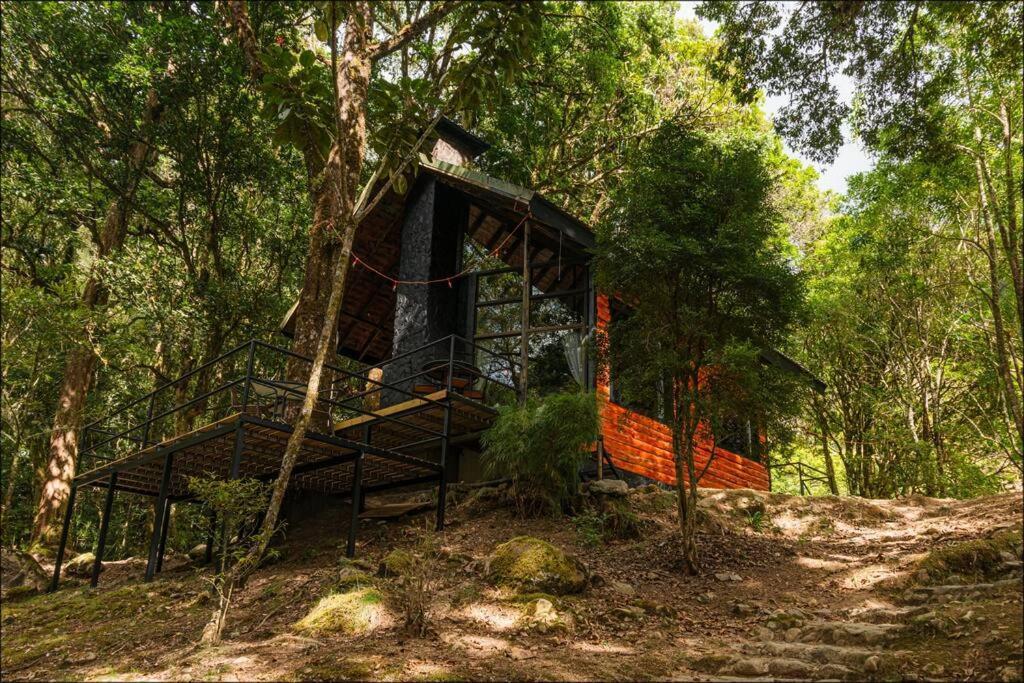 Unicorn Lodge: Direct Riverfront : Unique Experience San Gerardo de Dota Exterior foto
